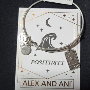 New"Positivity" Charm Bangle from Alex and Ani
